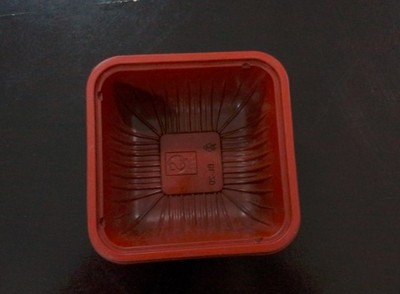 新忠盛吸塑制品厂 以专业制造，塑世界精彩